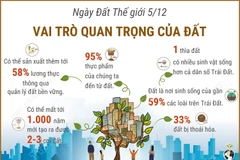 Ngày Đất Thế giới 5/12: Vai trò quan trọng của đất