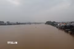 Mực nước sông Đồng Nai tại khu vực Biên Hòa lên cao, nhiều khu dân cư ven sông có nguy cơ ngập lụt. (Ảnh: Sỹ Tuyên/TTXVN)