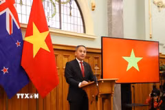 Đại sứ Việt Nam tại New Zealand Phan Minh Giang. (Ảnh: Thanh Tú/TTXVN)
