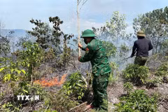 Đồn Biên phòng Cửa khẩu A Đớt, Ban Chỉ huy Bộ đội Biên phòng thành phố Huế cùng với các đơn vị địa phương kịp thời dập tắt đám cháy tại xã A Lưới 4, thành phố Huế. (Ảnh: TTXVN phát)