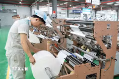 Công nhân kiểm tra chất lượng sản phẩm trên dây chuyền sản xuất bao bì tại Công ty Cổ phần Sản xuất và Xuất nhập khẩu Bao bì Thăng Long. (Ảnh: Đồng Thúy/TTXVN)