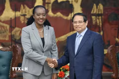 Thủ tướng Phạm Minh Chính tiếp bà Soipan Tuya, Bộ trưởng Nội các về Quốc phòng Kenya. (Ảnh: Dương Giang/TTXVN)