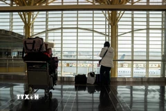 Hành khách tại sân bay quốc gia Ronald Reagan Washington ở Arlington, Virginia, Mỹ. (Ảnh: THX/TTXVN)