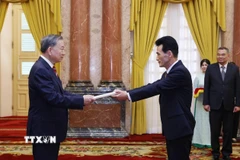 Tổng Bí thư, Chủ tịch nước Tô Lâm tiếp Đại sứ Triều Tiên tại Việt Nam Ri Sung Guk đến trình Quốc thư (Hà Nội, 12/8/2024). (Ảnh: Lâm Khánh/TTXVN)