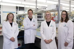 Nhóm nghiên cứu BrainPOP (từ trái sang phải): Giáo sư Kate Drummond, Tiến sỹ Jim Whittle, Tiến sỹ Saskia Freytag, Tiến sỹ Sarah Best. (Nguồn: RMH)