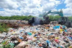 Ảnh minh họa. (Ảnh: Hoài Nam/TTXVN)