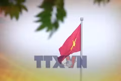Nhận diện và cảnh báo những thông tin xuyên tạc về bầu cử