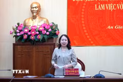 Bí thư Trung ương Đảng, Phó Chủ tịch nước Võ Thị Ánh Xuân phát biểu tại buổi làm việc. (Ảnh: Văn Sĩ/TTXVN)