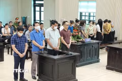 Các bị cáo nghe tuyên án. (Ảnh: Danh Lam/TTXVN)