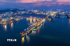 Cảng tổng hợp Công ty cổ phần Hòa Phát Dung Quất nằm trong khu kinh tế Dung Quất. (Ảnh: TTXVN phát)