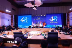Phiên Toàn thể Hội nghị Cấp cao ASEAN lần thứ 48. (Ảnh: Dương Giang/TTXVN)