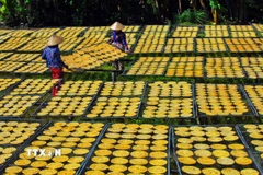 Bằng sự khéo léo và sáng tạo, phụ nữ Đồng bằng sông Cửu Long đã biến những sản vật sẵn có tại địa phương thành các sản phẩm có giá trị gia tăng cao. (Ảnh: Huỳnh Anh/TTXVN)