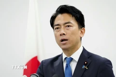 Bộ trưởng Quốc phòng Nhật Bản Shinjiro Koizumi. (Ảnh: Kyodo/TTXVN)