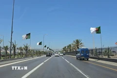 Đường phố Algeria rợp bóng cờ bay trước ngày lễ lớn của đất nước. (Ảnh: Nguyễn An/TTXVN)