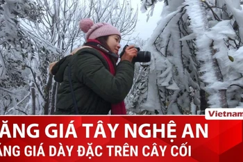 Đồn Biên phòng Na Ngoi ghi nhận mức nhiệt -5 độ C, Nghệ An thời tiết khắc nghiệt