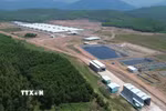 Trang trại chăn nuôi heo Minh Phúc có diện tích trên 40ha. (Ảnh: Tường Quân/TTXVN)