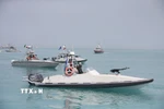 Tàu chiến của Lực lượng Vệ binh Cách mạng Hồi giáo Iran được triển khai tại Vịnh Persian, gần Bushehr, Iran. (Ảnh: THX/TTXVN)