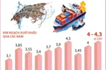 Xuất khẩu tôm hướng đến mục tiêu 4,3 tỷ USD trong năm 2025