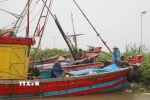 Ngư dân chằng chống, gia cố tàu thuyền để ứng phó với bão tại Trạm Quản lý đường sông cửa Đáy, xã Kim Đông, tỉnh Ninh Bình. (Ảnh: Thùy Dung/TTXVN)