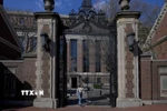 Khuôn viên Trường Đại học Harvard ở Cambridge, Massachusetts, Mỹ ngày 15/4/2025. (Ảnh: Reuters/TTXVN)