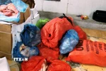 Số thực phẩm đông lạnh không có hóa đơn, chứng từ chứng minh nguồn gốc, xuất xứ. (Ảnh: Hải Yến/TTXVN)