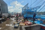 Bốc dỡ hải sản của một tàu cá đánh bắt xa bờ tại cảng cá Bình Châu, TP. Hồ Chí Minh. (Ảnh: Hoàng Nhị/TTXVN)
