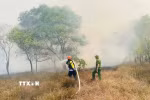 Lực lượng chức năng nỗ lực dập tắt đám cháy rừng tràm tại khu vực giáp ranh xã Nam Cửa Việt và Triệu Cơ ngày 26/6. (Ảnh minh họa: TXVN phát)