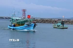 Tàu cá trên cửa sông Dương Đông, thành phố Phú Quốc (An Giang). (Ảnh: Lê Huy Hải/TTXVN)