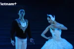Mãn nhãn vở ballet kinh điển “Hồ Thiên Nga” của Nhà hát Nhạc Vũ Kịch Việt Nam