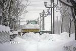 Tuyết rơi dày đặc tại Hokkaido, Nhật Bản. (Ảnh: Kyodo/TTXVN)