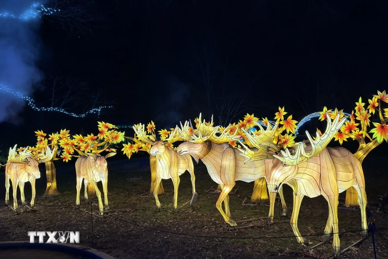 Các tác phẩm trang trí ánh sáng được thiết kế sáng tạo. (Ảnh: Ngọc Quang/TTXVN)