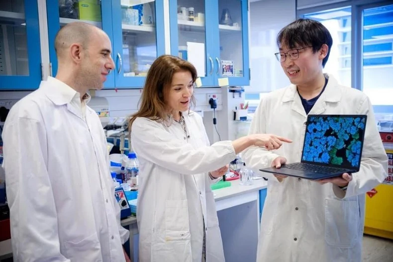 Nhóm các nhà khoa học do Phó Giáo sư Guillaume Thibault (trái) của Đại học Công nghệ Nanyang (NTU) dẫn đầu, bao gồm cả giáo sư thỉnh giảng Kimberly Kline (giữa) của Đại học Geneva và nghiên cứu sinh Aaron Tan của NTU. (Ảnh: NTU)