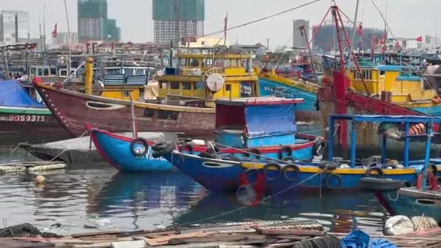 Đà Nẵng chuyển biến từ cơ sở trong nỗ lực gỡ thẻ vàng IUU