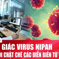 Thành phố Hồ Chí Minh duy trì cảnh giác cao, virus Nipah có khả năng gây tỷ lệ tử vong cao