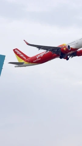 Máy bay của các hãng hàng không Việt Nam. (Ảnh: Huy Hùng/TTXVN)