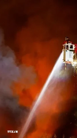 Ảnh minh họa. (Ảnh: REX/TTXVN)