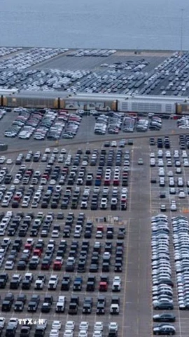 Ôtô chờ xuất khẩu tại cảng ở San Diego, bang California (Mỹ), ngày 26/3/2025. (Ảnh: Reuters/TTXVN)