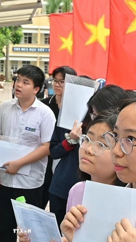 Ảnh minh họa. (Ảnh: Nguyễn Cúc/TTXVN)