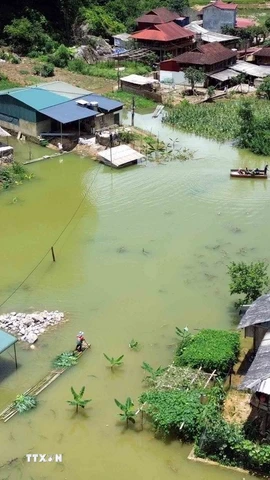 Những trận mưa kéo dài khiến bản Phiêng Nghè, phường Chiềng An (tỉnh Sơn La) bị ngập úng, có nới ngập sâu từ 2-3m. (Ảnh: Quang Quyết/TTXVN)
