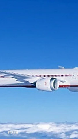 Một máy bay của hãng hàng không Air India. (Ảnh: ANI/TTXVN)