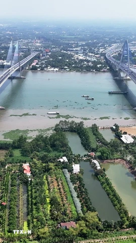 Cầu Mỹ Thuận 1 (trái) và Mỹ Thuận 2 bắc qua sông Tiền nối hai tỉnh Tiền Giang và Vĩnh Long. (Ảnh: Hồng Đạt/TTXVN)