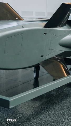 Ảnh minh họa. (Ảnh: AFP/TTXVN)