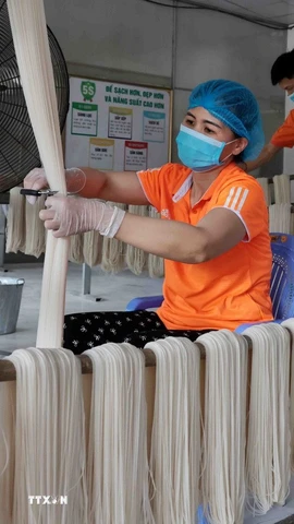 Công nhân tại một doanh nghiệp. (Ảnh: Trần Việt/TTXVN)