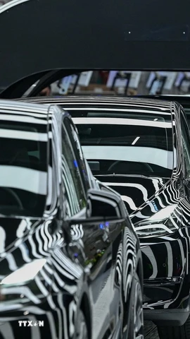 Doanh số của Tesla đang giảm mạnh chưa từng thấy. (Ảnh: AFP/TTXVN)