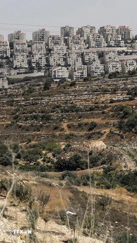 Quang cảnh khu định cư ở Efrat ở ngoại ô thành phố Bethlehem, Khu Bờ Tây. (Nguồn: Getty Images/TTXVN)