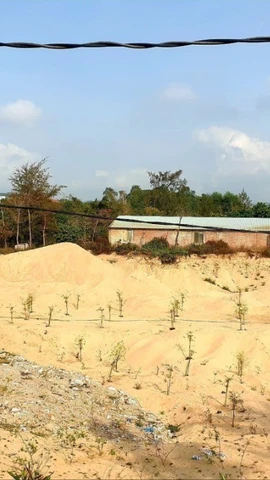 Ảnh chỉ mang tính minh họa. (Ảnh: TTXVN phát)