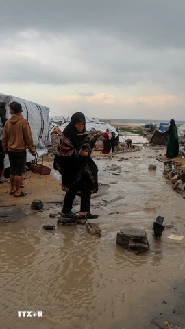 Khu lều tạm cho người tị nạn Palestine tại thành phố Gaza bị ngập nước do mưa lớn, ngày 12/12/2025. (Ảnh: THX/TTXVN)