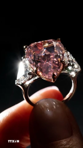 Ảnh minh họa. (Nguồn: AFP/TTXVN)