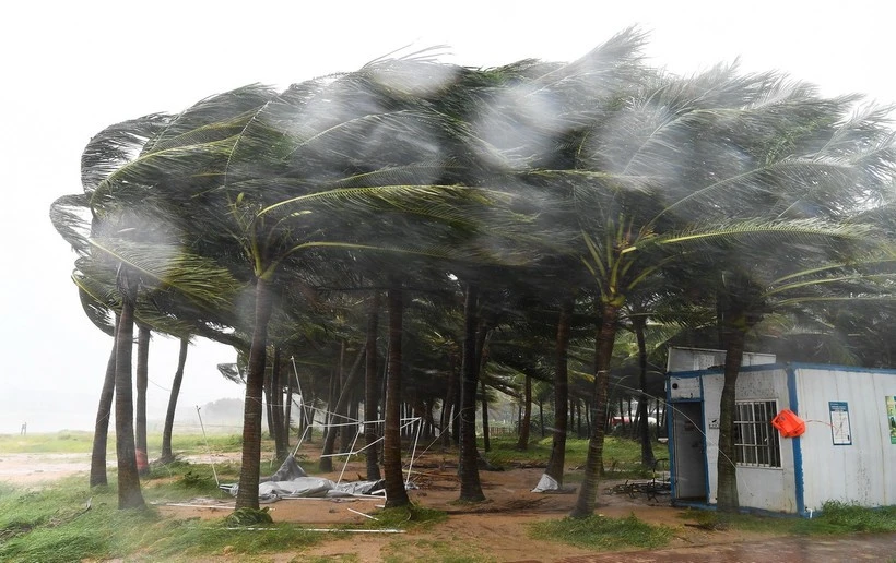 Ủy ban Bảo thống nhất đổi tên báo Yagi thành Tomo, thay thế Trà Mi bằng Hoa Ban