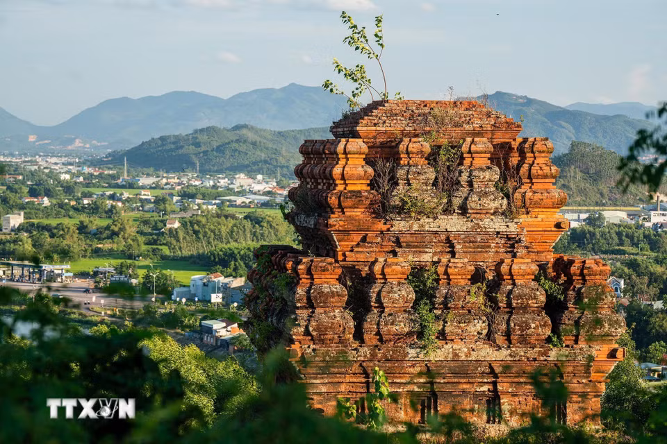Tháp Bánh Ít được xây dựng vào khoảng cuối thế kỷ XI đến đầu thế kỷ XII, dưới thời vương quốc Chăm Pa hưng thịnh. Đây là thời kỳ kiến trúc Chăm đạt đến đỉnh cao, thể hiện rõ qua các họa tiết, kết cấu và kỹ thuật xây dựng. (Ảnh: Khánh Hòa/TTXVN)